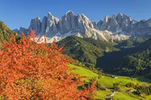 View of St. Maddalena and Sass Rigais (Geisler Peaks), St