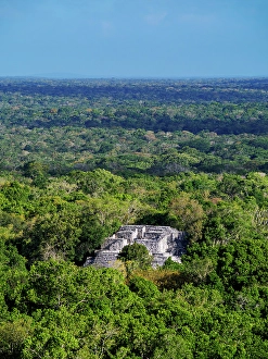 Kalakmul Prints: View towards Structure VII, Calakmul Archaeological Site, Campeche State, Mexico