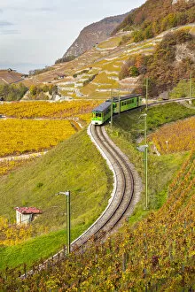 Aigle Gallery: View of the train and railway in the surrounding vineyards of Aigle castle in autumn