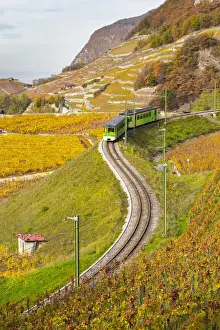 Rhone Prints: View of the train and railway in the surrounding vineyards of Aigle castle in autumn