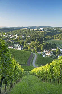 Trier Prints: View of Trier at dawn, Trier, Rhineland-Palatinate, Germany