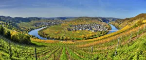 Hans Georg Eiben Collection: View at Trittenheim with river Mosel at fall, Rhineland-Palatine, Germany