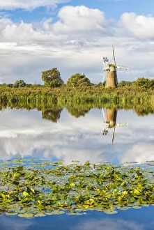 Images Dated 11th January 2017: A view towards Turf Fen Mill, Norfolk, UK