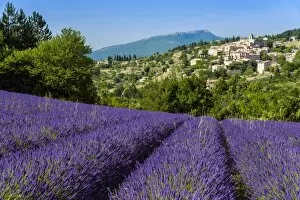 Images Dated 3rd July 2015: View of village of Aurel with field of lavander in bloom, Provence, France