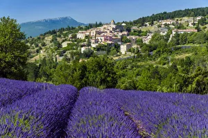 Images Dated 4th August 2015: View of village of Aurel with field of lavander in bloom, Provence, France