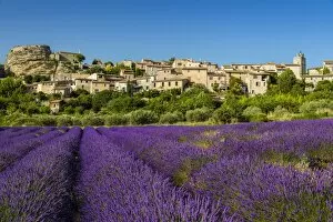 Images Dated 4th July 2015: View of village of Saignon with field of lavander in bloom, Provence, France
