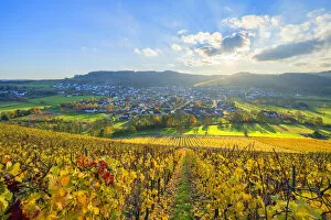 Images Dated 15th December 2021: View from the vineyard Ayler Kupp at the sunset above Ayl, Saar valley, Hunsruck