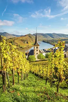 Steep Prints: View from the vineyards of the Calmont vineyard to the town of Bremm with the church of St