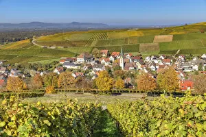View across the vineyards of Ebringen to Kaiserstuhl, Markgrafler Land, Black Forest, Baden-Wurttemberg, Germany