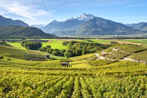 Images Dated 18th October 2013: View vineyards and fertile Rhone near Ollon, Vaud Canton, Switzerland