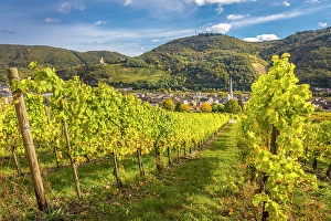 Bernkastel Prints: View from the vineyards to Kues with church St