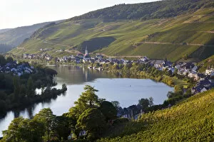 Images Dated 28th June 2011: View over vineyards & Mosel River towards Kaimt Mosel Village, Mosel Valley