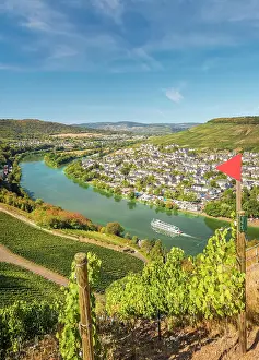 Mosel Wine Prints: View from the vineyards near the Landshut castle ruins to the Moselle and Bernkastel-Kues