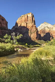 Images Dated 8th June 2021: View over Virgin River to Angels Landing, Zion National Park, Colorado Plateau, Utah, USA