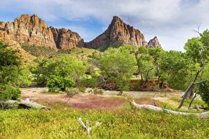 Virgin River Prints: View of the Watchman over the Virgin river Zion National Park, Utah, USA