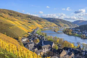 View at Zell, Mosel valley, Rhineland-Palatinate, Germany