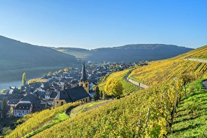 River Mosel Prints: View at Zeltingen, Mosel, Mosel valley, Rhineland-Palatinate, Germany