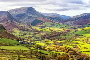 Lakeland Prints: Views of Newlands Valley, Little Town and Derwent Fells from Catbells route