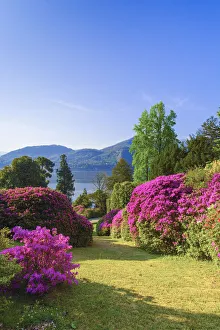 Villa Carlotta, Tremezzo, Como lake, Lombardy, Italy