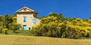 Images Dated 30th July 2018: Villa in Gorse, near Puimoisson, Provence, France