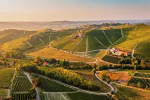 Barbaresco Prints: Village of Barbaresco and the Langhe hills at sunset