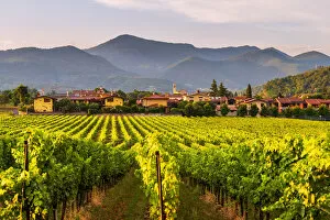 Vineyards Collection: The village of Camignone at sunset in franciacorta, Brescia province, Lombardy district