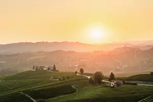 Vine Prints: The village of Castiglione Falletto and its vineyards at sunrise