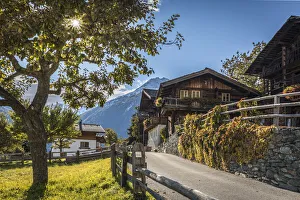 Fruit Tree Prints: Village center of Obermauern, Virgen valley, East Tyrol, Austria