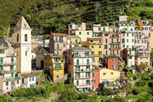 Manarola Prints: The village of Manarola, Cinque Terre, La Spezia district, Liguria, Italy