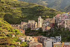 Manarola Prints: The village of Manarola, Cinque Terre, La Spezia district, Liguria, Italy