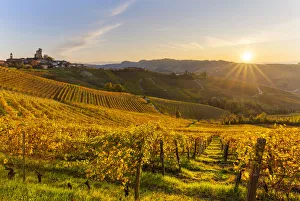 Serralunga Dalba Prints: Village of Serralunga d Alba at sunset. Langhe, Piedmont, Italy, Europe