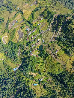 Gandaki Province Prints: Village and terraced fields near Ghandruk, Annapurna Region, Gandaki Province, Nepal