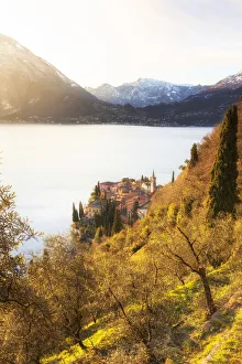 Varenna Prints: Village of Varenna from olive field, Como Lake, Lombardy, Italy