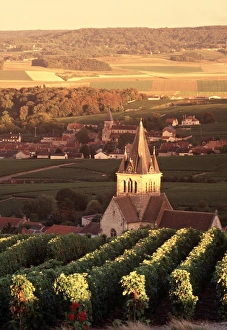 French Wine Regions Gallery: Ville-Dommange