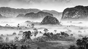 Images Dated 2nd December 2016: Vinales valley, Cuba, Caribbean