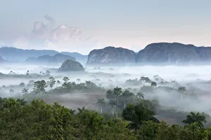 Tobacco Prints: Vinales valley, Cuba, Caribbean