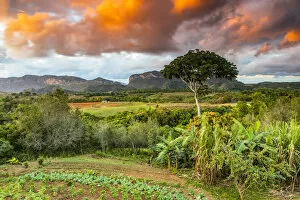 Images Dated 29th May 2020: Vinales Valley at sunset, Pinar del Rio Province, Cuba