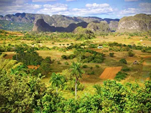 Vinales Prints: Vinales, Valley of Vinales, Pinar del Rio, Cuba