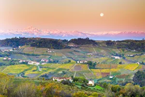 Vineyard of Barolo wine region during sunrise with the moon