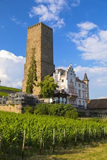 Romantic Rhine Prints: Vineyard and Boosemburg Castle, Rudesheim, Rhineland-Palatinate, Germany