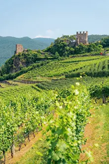 Greenery Prints: Vineyard with a castle on a hill