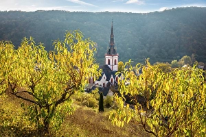 Martin Prints: Vineyard peach trees above the village of Ediger with the church of St