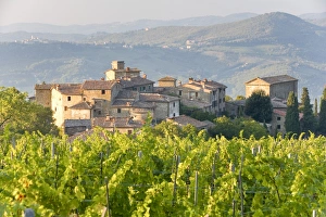 Country Side Prints: Vineyard and village