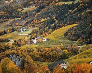 Images Dated 30th March 2021: Vineyards and autumn landscape in Bolzen, Trentino Alto Adige, Italy