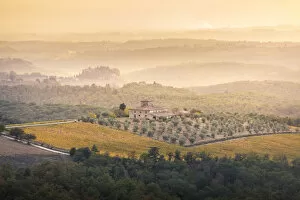 Images Dated 22nd March 2019: Vineyards during autumn near Gaiole in Chianti, Florence province, Tuscany, Italy