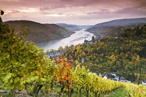 Vineyards over Bacharach, Rhineland-Palatinate, Germany