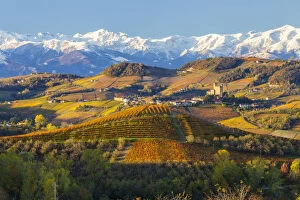 Images Dated 8th March 2013: Vineyards & castle, Grinzane Cavour, Cuneo district, Langhe, nr Alba, Langhe