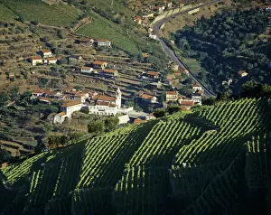 Port Wine Prints: Vineyards at the Douro region, the origin of the world famous Port wine