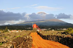 Vineyards inside lava walls at Criacao Velha