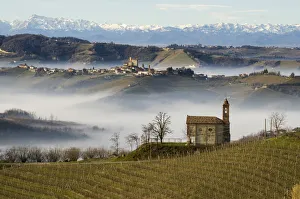 Serralunga Dalba Prints: Vineyards in Langhe with a chapel on the foreground, Serralunga D